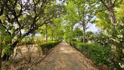 Rustic Finca in Salinas photo 78
