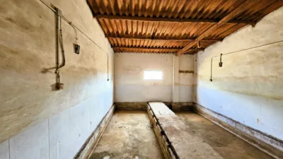 Rustic Finca in Salinas photo 92