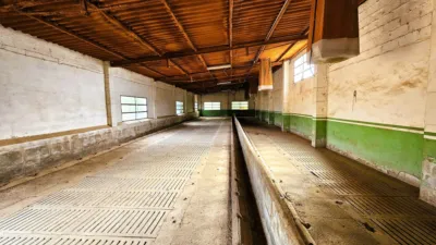 Rustic Finca in Salinas photo 90