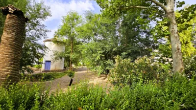 Rustic Finca in Salinas photo 76