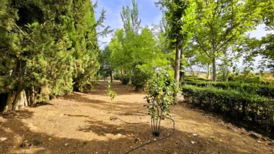 Rustic Finca in Salinas photo 74