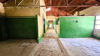 Rustic Finca in Salinas photo 115