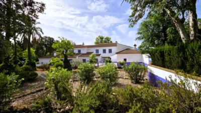 Rustic Finca in Salinas photo 2