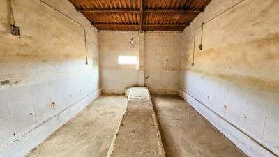 Rustic Finca in Salinas photo 91
