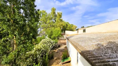 Rustic Finca in Salinas photo 84