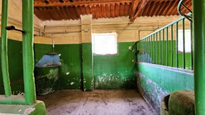 Rustic Finca in Salinas photo 109