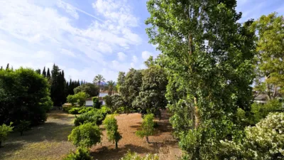 Rustic Finca in Salinas photo 85
