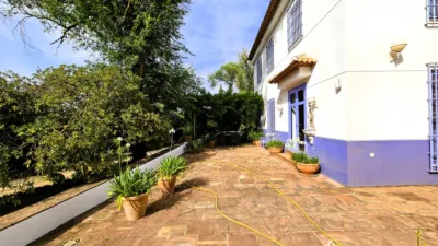 Rustic Finca in Salinas photo 6