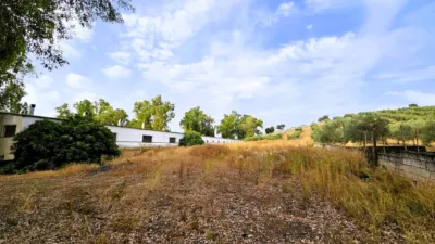 Rustic Finca in Salinas photo 80