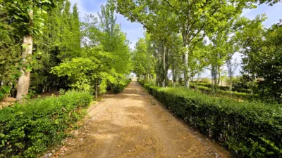 Rustic Finca in Salinas photo 75