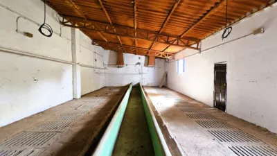 Rustic Finca in Salinas photo 94