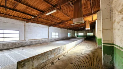 Rustic Finca in Salinas photo 89