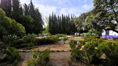 Rustic Finca in Salinas photo 66
