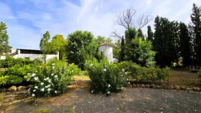 Rustic Finca in Salinas photo 103