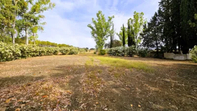 Rustic Finca in Salinas photo 77