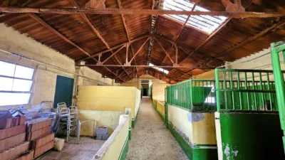 Rustic Finca in Salinas photo 104