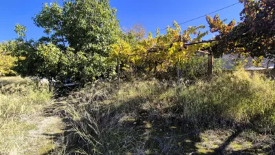 Rustic Finca for Sale in Santa Bárbara photo 11