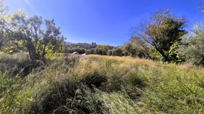 Rustic Finca for Sale in Santa Bárbara photo 7