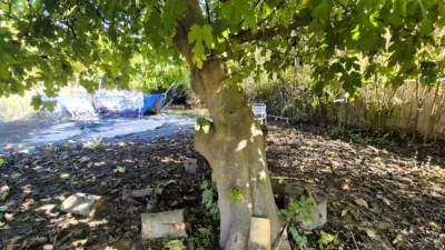 Rustic Finca for Sale in Santa Bárbara photo 12