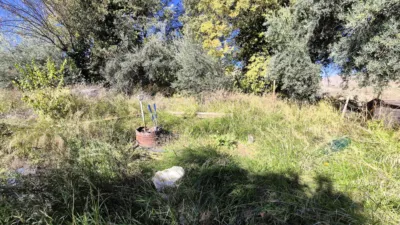 Rustic Finca for Sale in Santa Bárbara photo 5