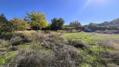 Rustic Finca for Sale in Santa Bárbara photo 10
