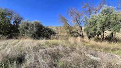 Rustic Finca for Sale in Santa Bárbara photo 9