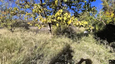 Rustic Finca for Sale in Santa Bárbara photo 18
