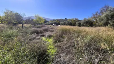 Rustic Finca for Sale in Santa Bárbara photo 8