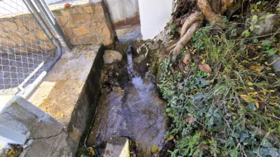 Rustic Finca for Sale in Santa Bárbara photo 19