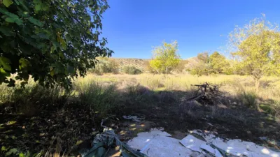 Rustic Finca for Sale in Santa Bárbara photo 13