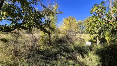 Rustic Finca for Sale in Santa Bárbara photo 20
