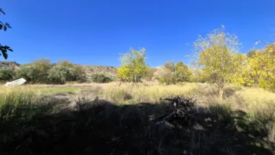 Rustic Finca for Sale in Santa Bárbara photo 14