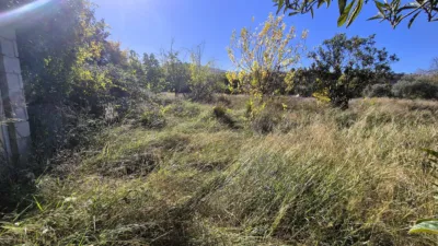 Rustic Finca for Sale in Santa Bárbara photo 3