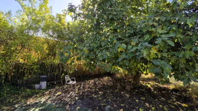 Rustic Finca for Sale in Santa Bárbara photo 2