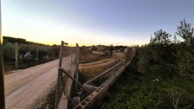 Finca rústica en Loja photo 5