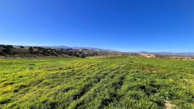 Rustic Finca in Alhama de Granada photo 7