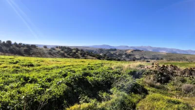 Rustic Finca in Alhama de Granada photo 16