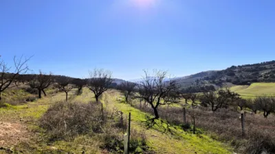 Rustic Finca in Alhama de Granada photo 19