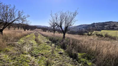 Rustic Finca in Alhama de Granada photo 12