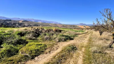 Rustic Finca in Alhama de Granada photo 15