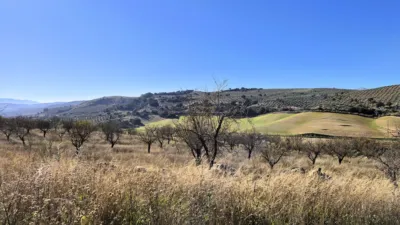 Rustic Finca in Alhama de Granada photo 10