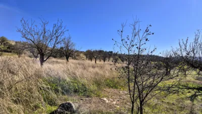 Rustic Finca in Alhama de Granada photo 14