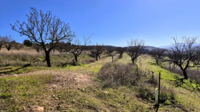 Rustic Finca in Alhama de Granada photo 18