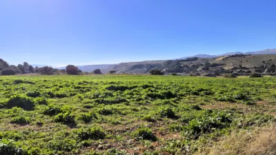 Rustic Finca in Alhama de Granada photo 17