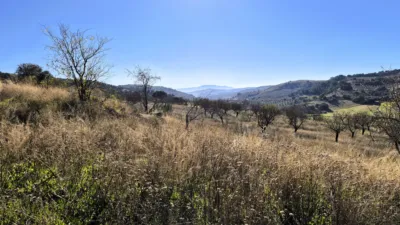 Rustic Finca in Alhama de Granada photo 9