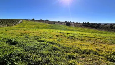 Rustic Finca in Alhama de Granada photo 6