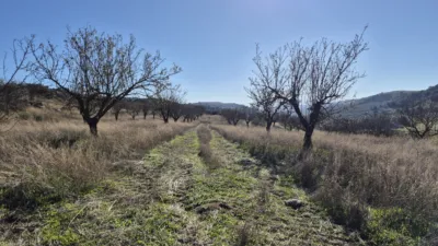 Rustic Finca in Alhama de Granada photo 13