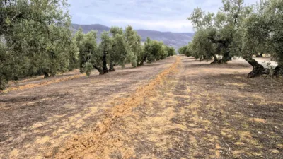 Rustic farm on Calle Riofrio, No. 1 photo 2