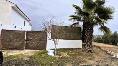 Rustic farm on Calle Riofrio, No. 1 photo 20