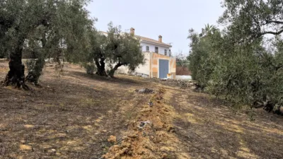 Rustic farm on Calle Riofrio, No. 1 photo 9
